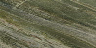 Nexion  Full Body Irish Green 1200x2400mm
